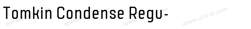 Tomkin Condense Regu字体转换